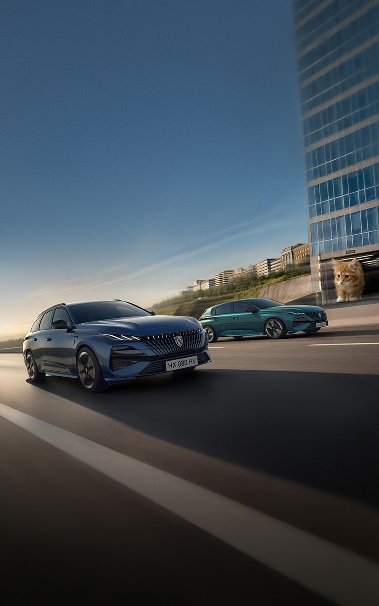 Neuer PEUGEOT 308 Frontansicht
