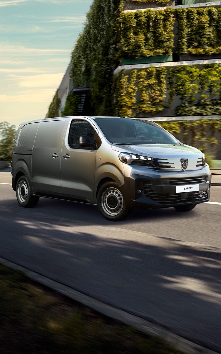 Peugeot Expert Diesel